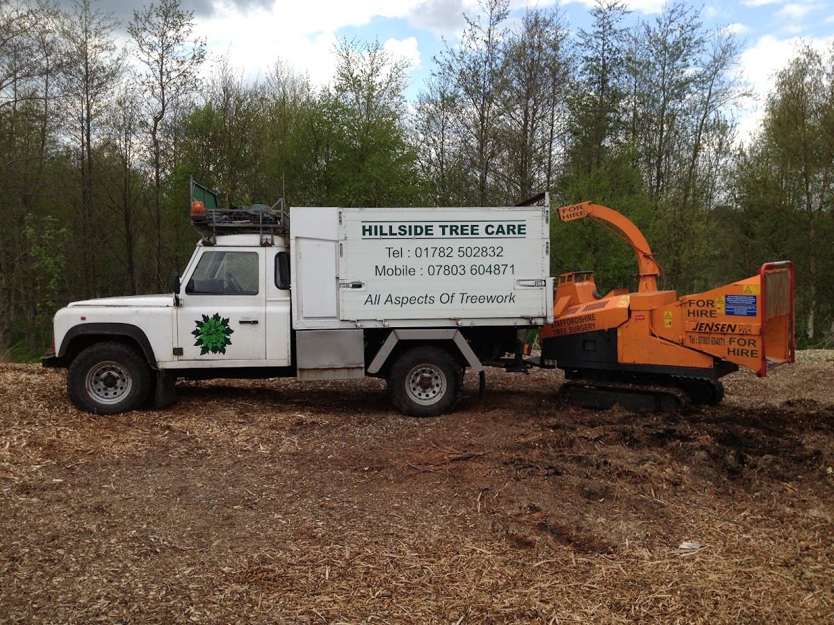 Hillside Tree Care work photo 5