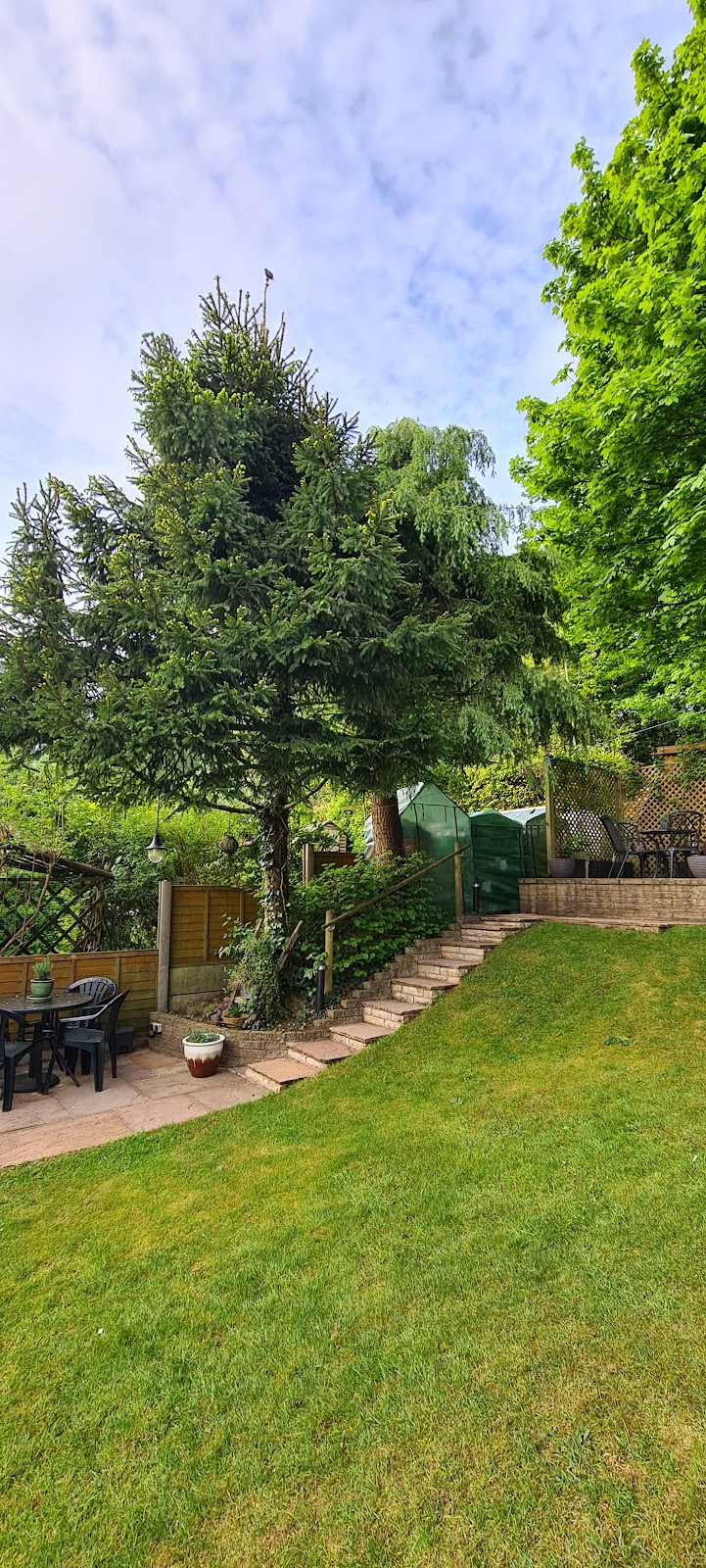 Hillside Tree Care work photo 7