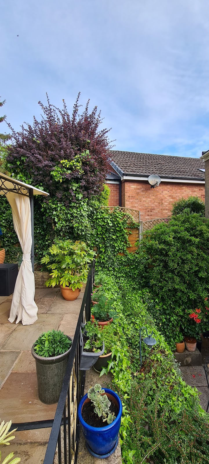 Hillside Tree Care work photo 8